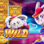 Game slot online Fortune Rabbit