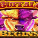 Slot Gacor Buffalo Begins